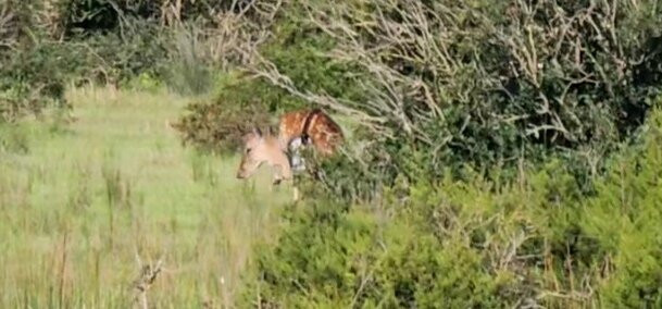 Donana Visitas-El Rocio必去景点