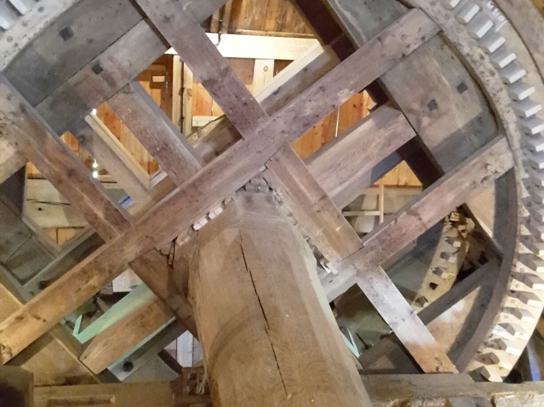 Mühlenmuseum Bockwindmühle Vehlefanz-Oberkraemer必去景点