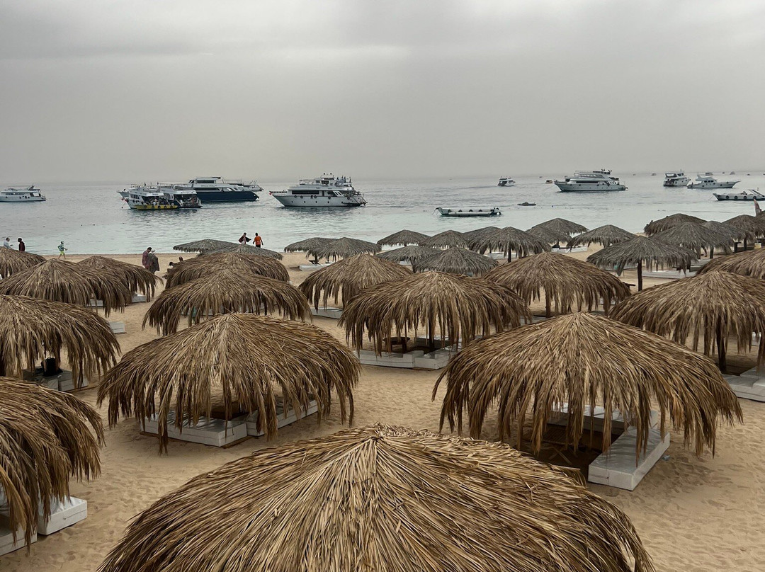 La Perla Dive Club-Sahl Hasheesh必去景点