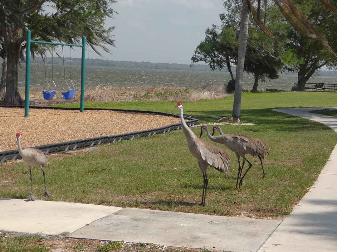 Griffin Stormwater Park-Howey in the Hills必去景点