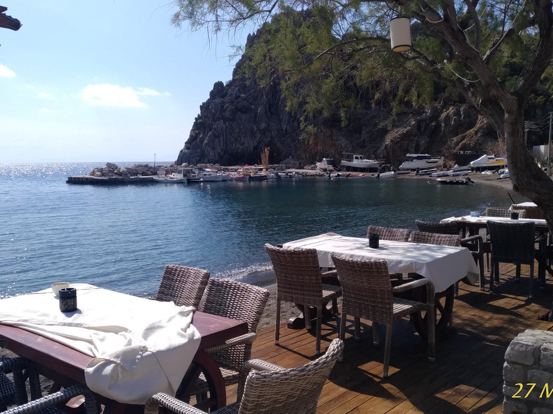 Hayıtbuku Koyu-Mesudiye必去景点