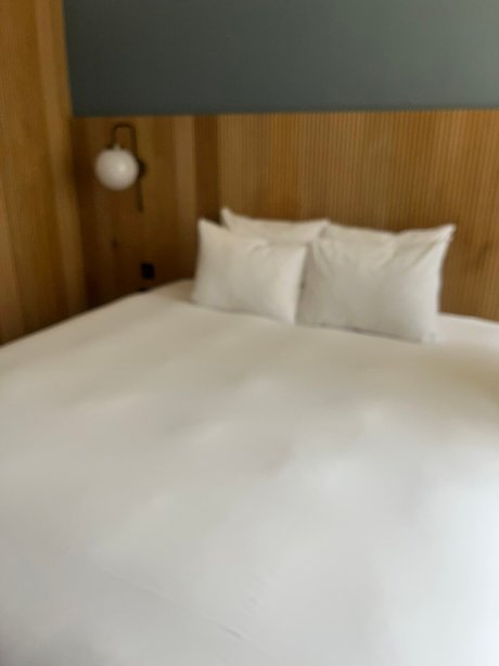 莫利的汽车旅馆和餐厅-官方