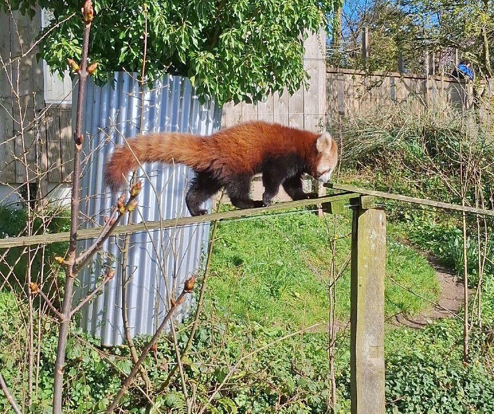 Manor Wildlife Park-St. Florence必去景点