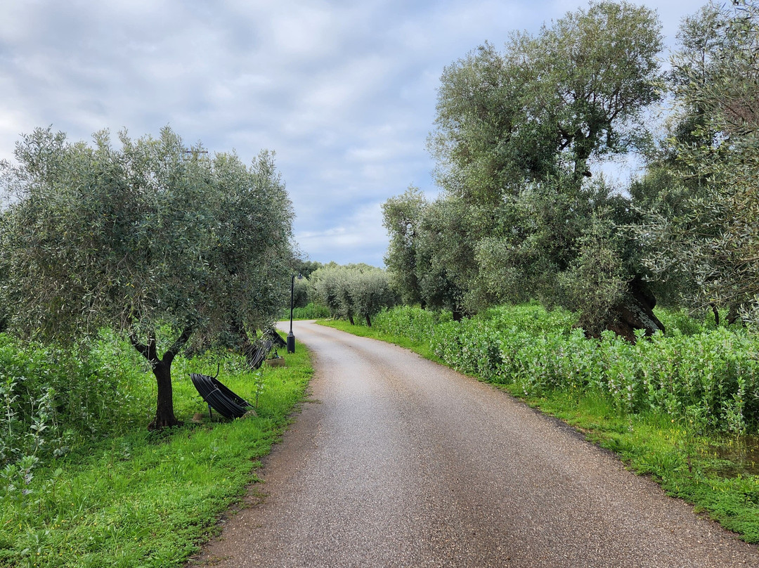 马塞里亚瓦伦特农家乐主图