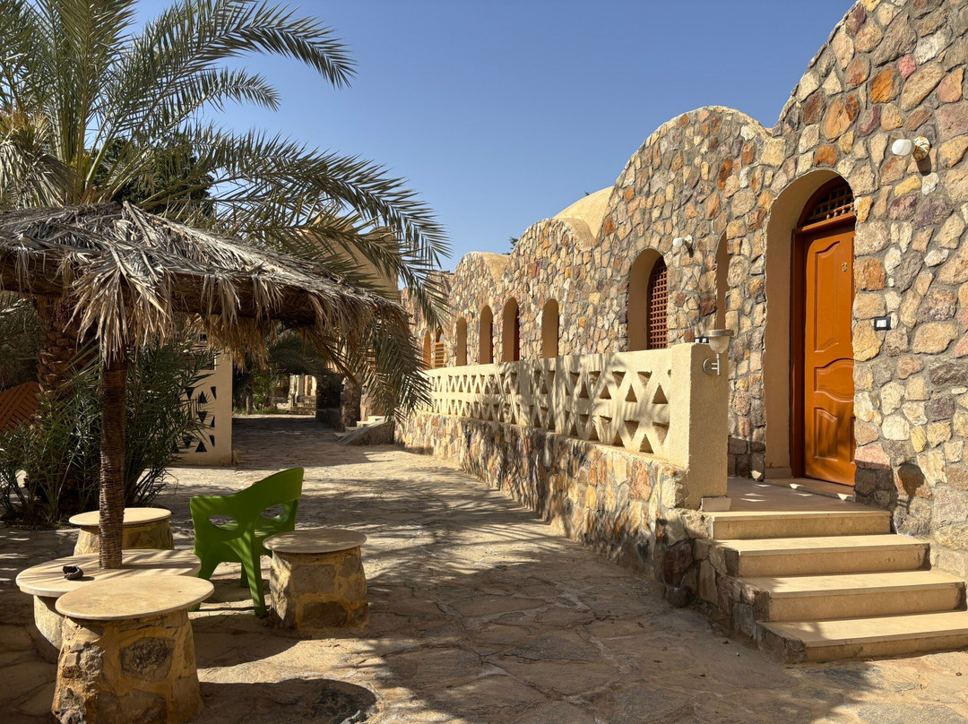 艾哈迈德野生营地旅馆主图