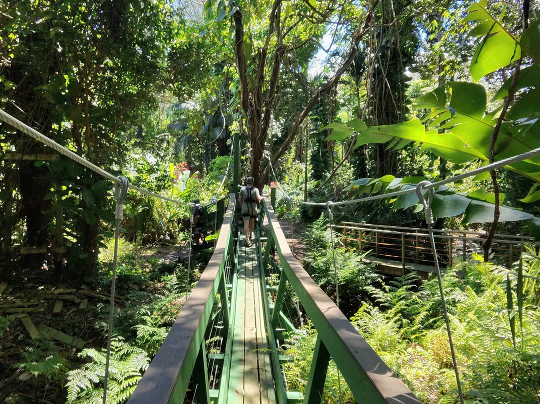 Jungle Zipline Maui-海库必去景点
