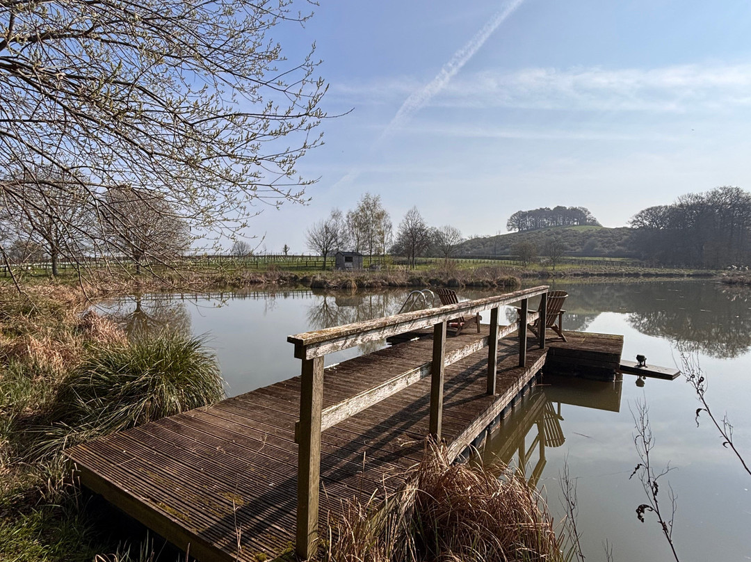 Lower Farm Bed and Breakfast主图