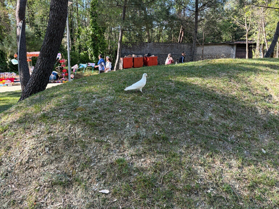 Grand Park (Parku i Madh)-地拉那必去景点