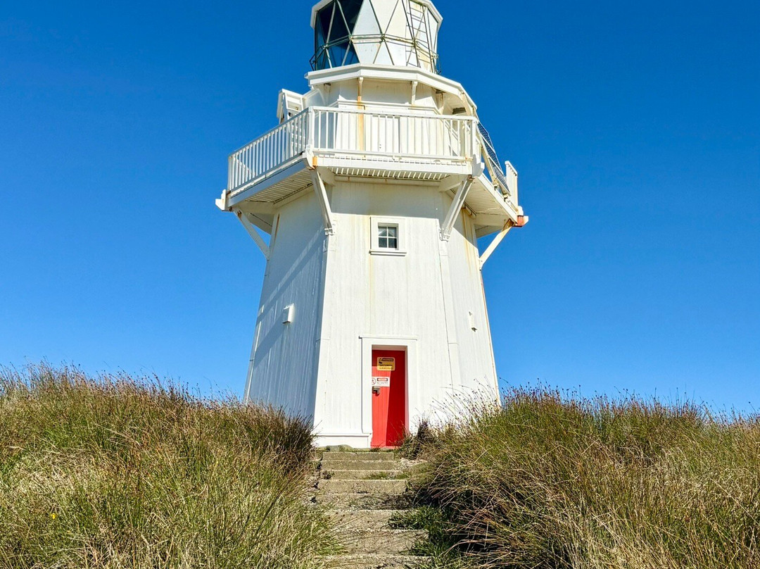 Waipapā Point Lighthouse-Otara必去景点