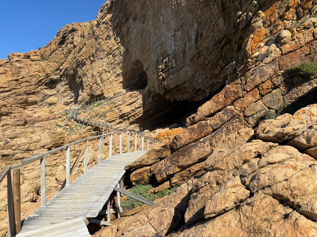 Point of Human Origins-莫塞尔贝必去景点