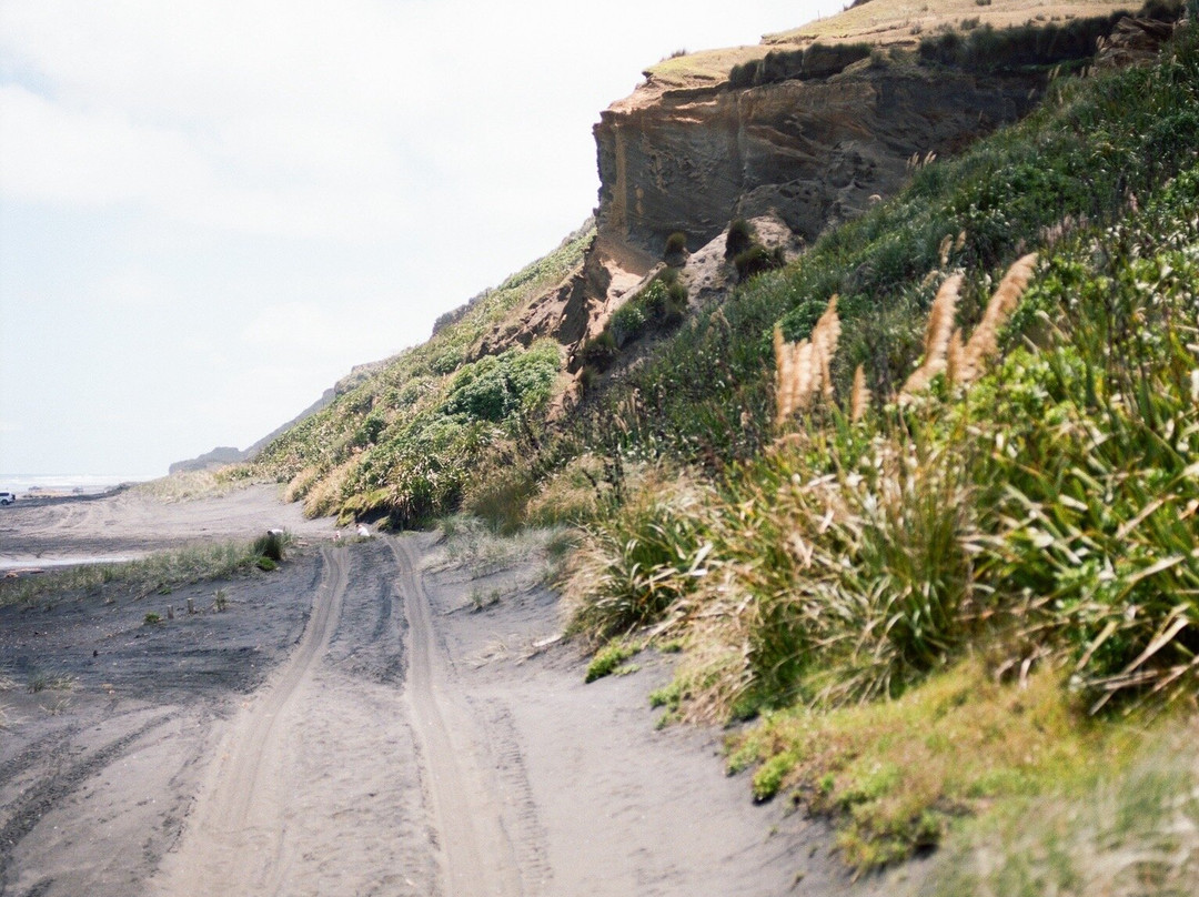 Kariotahi Beach-Waiuku必去景点