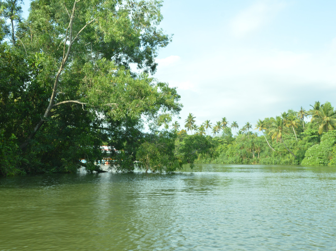 Poovar Backwater Cruise-Poovar必去景点