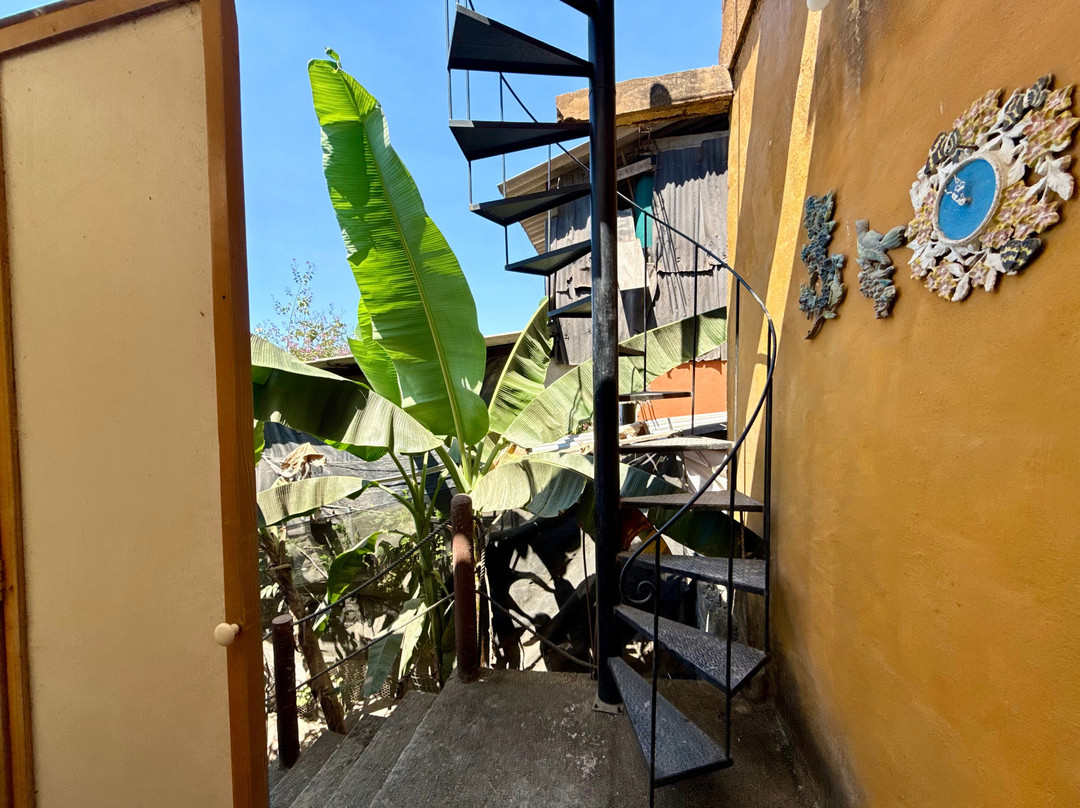 Centro de Visitantes OASP-旧金山必去景点