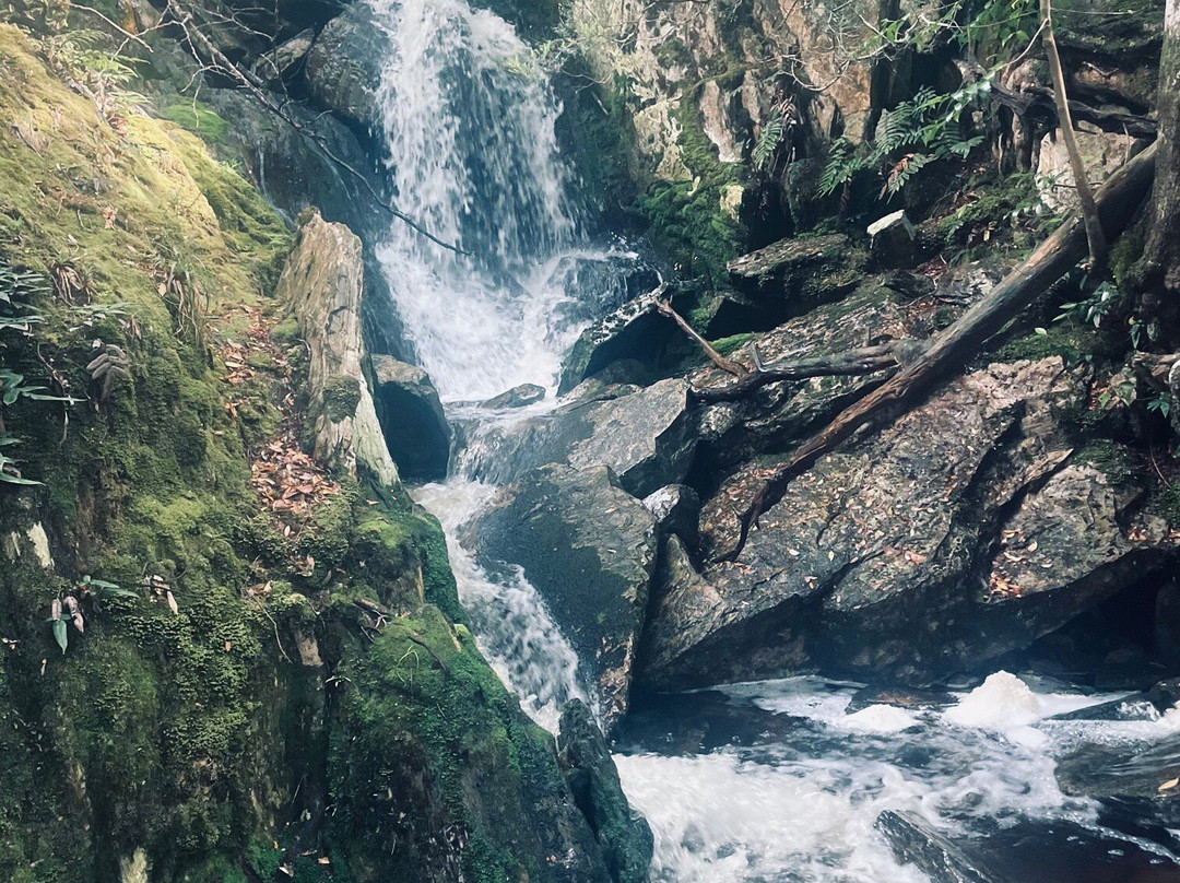 Cradle Mountain Visitor Centre-Cradle Mountain必去景点