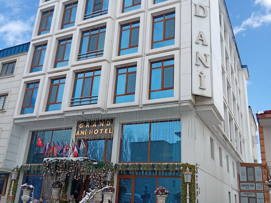 安妮大酒店主图