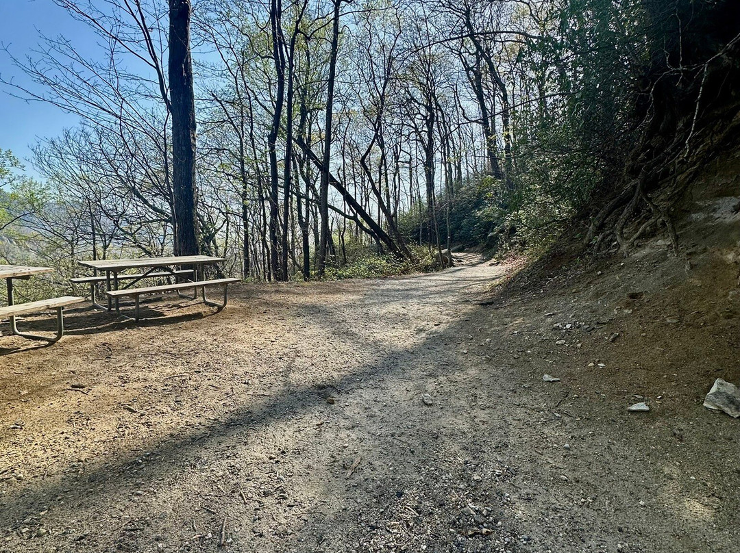 Hickory Nut Falls Trail-Chimney Rock必去景点