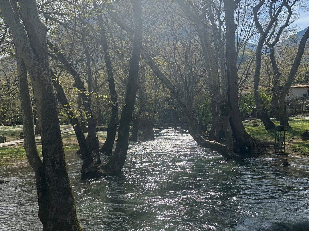Agios Nikolaos Park-Naousa必去景点