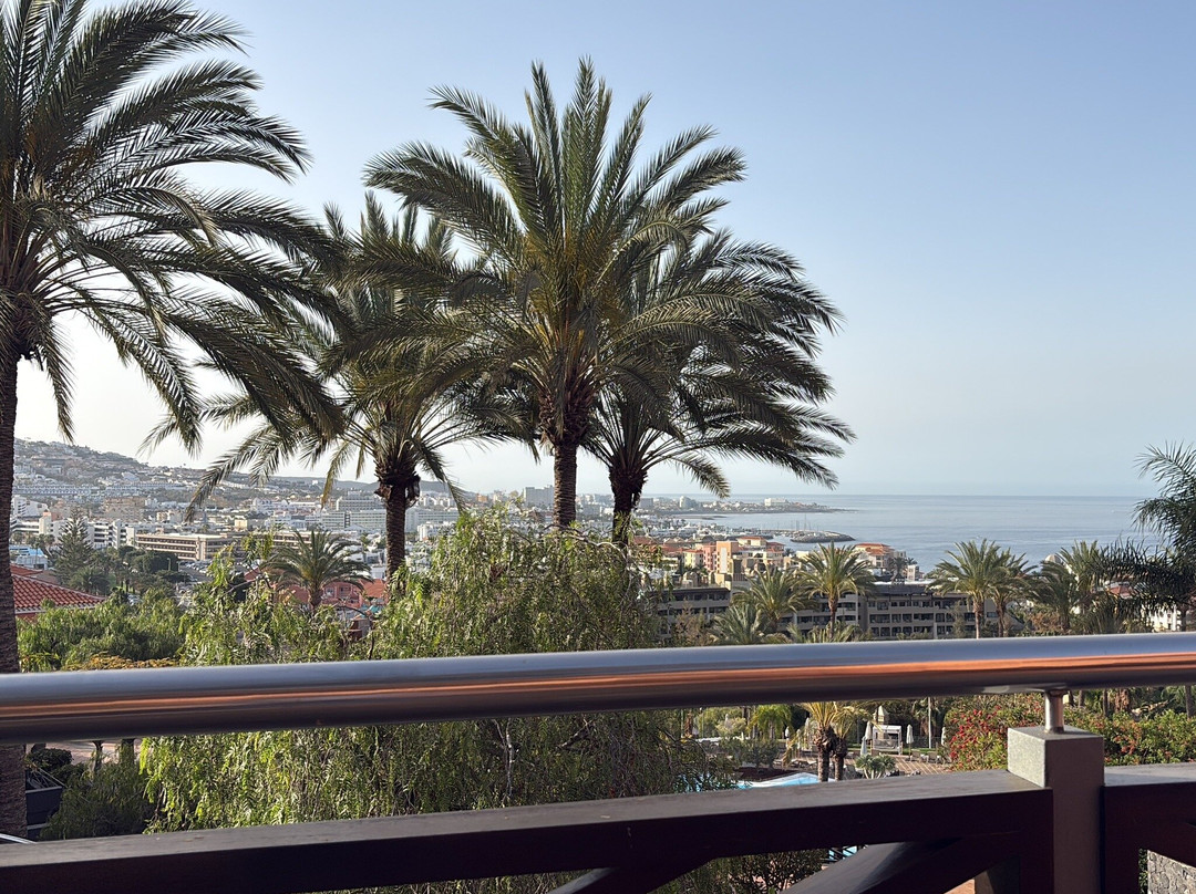 特内里费泰德公园美利亚酒店主图