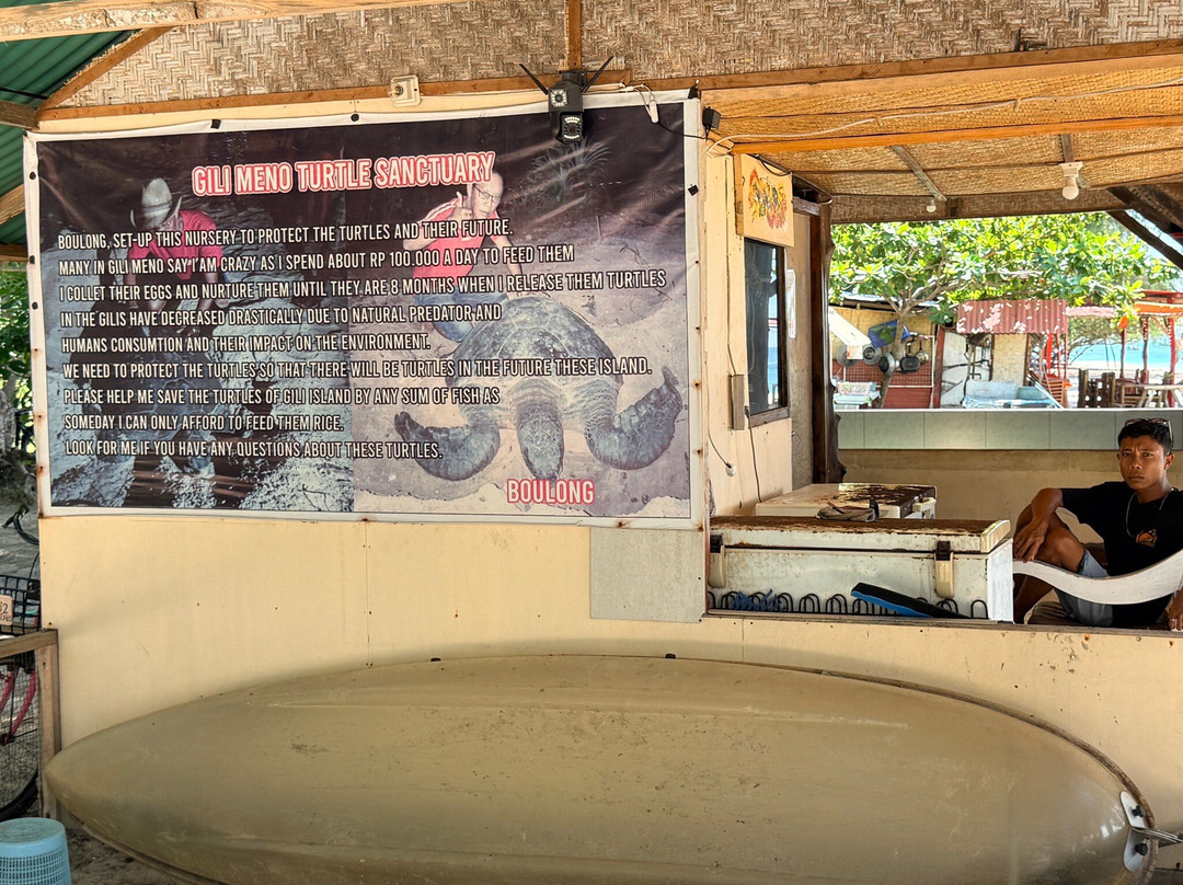 Gili Meno Turtle Sanctuary-Gili Meno必去景点