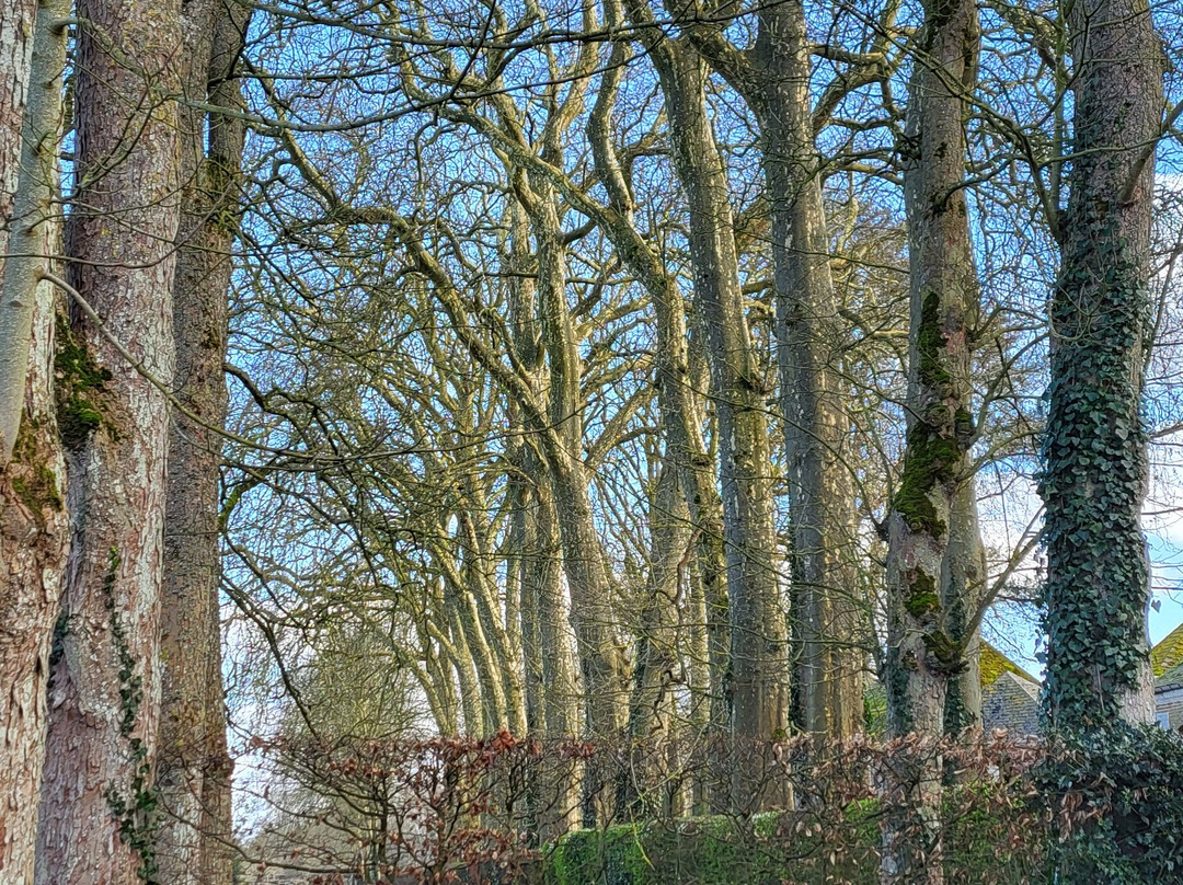 Château Fort de Rambures-Rambures必去景点