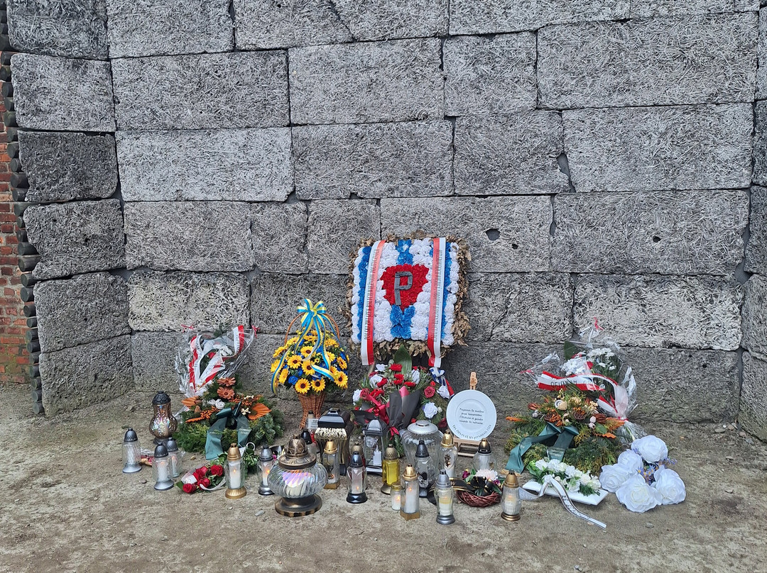 ToursPoland.Com-华沙必去景点