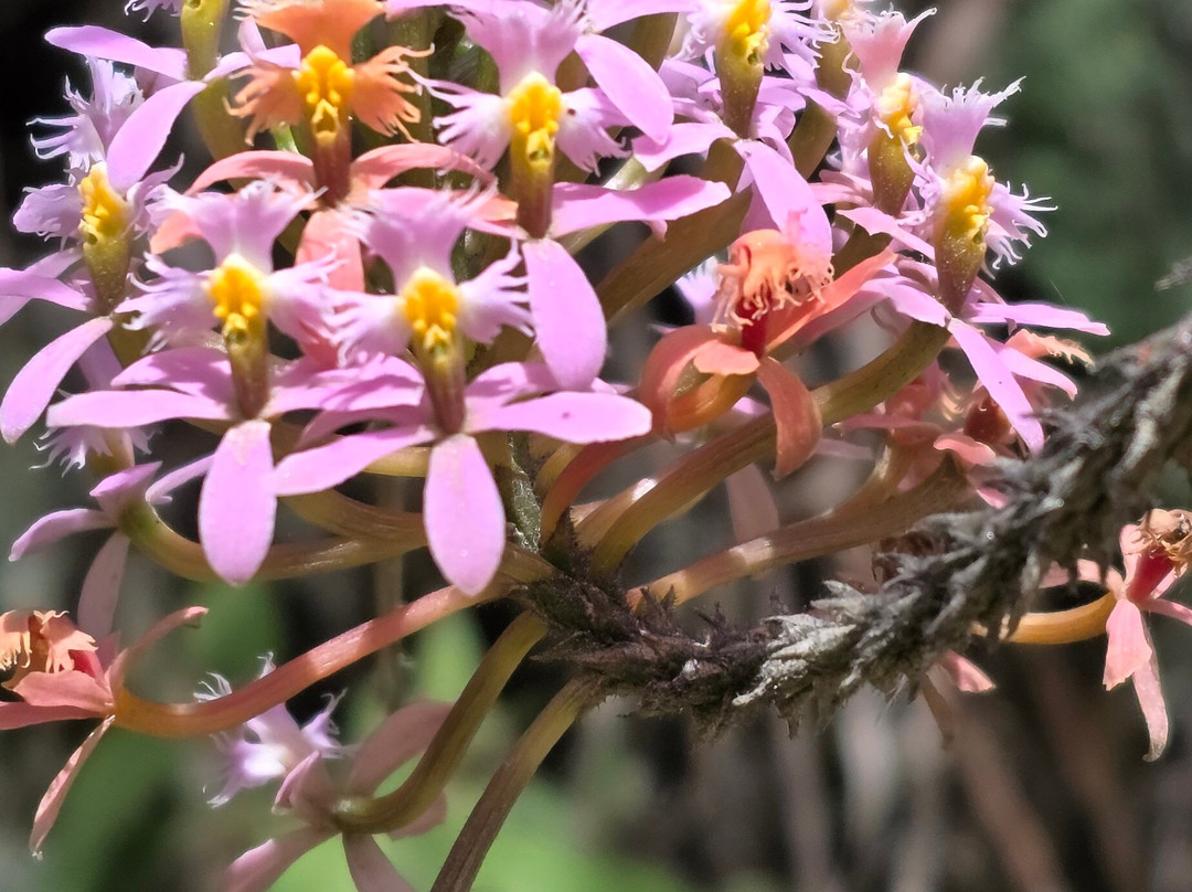AndigenA Experiencias Naturales-萨伦托必去景点