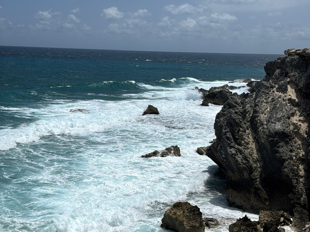 Punta Sur-女人岛必去景点