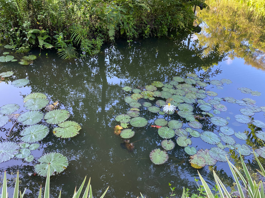 辛哈拉加森林边缘旅馆主图