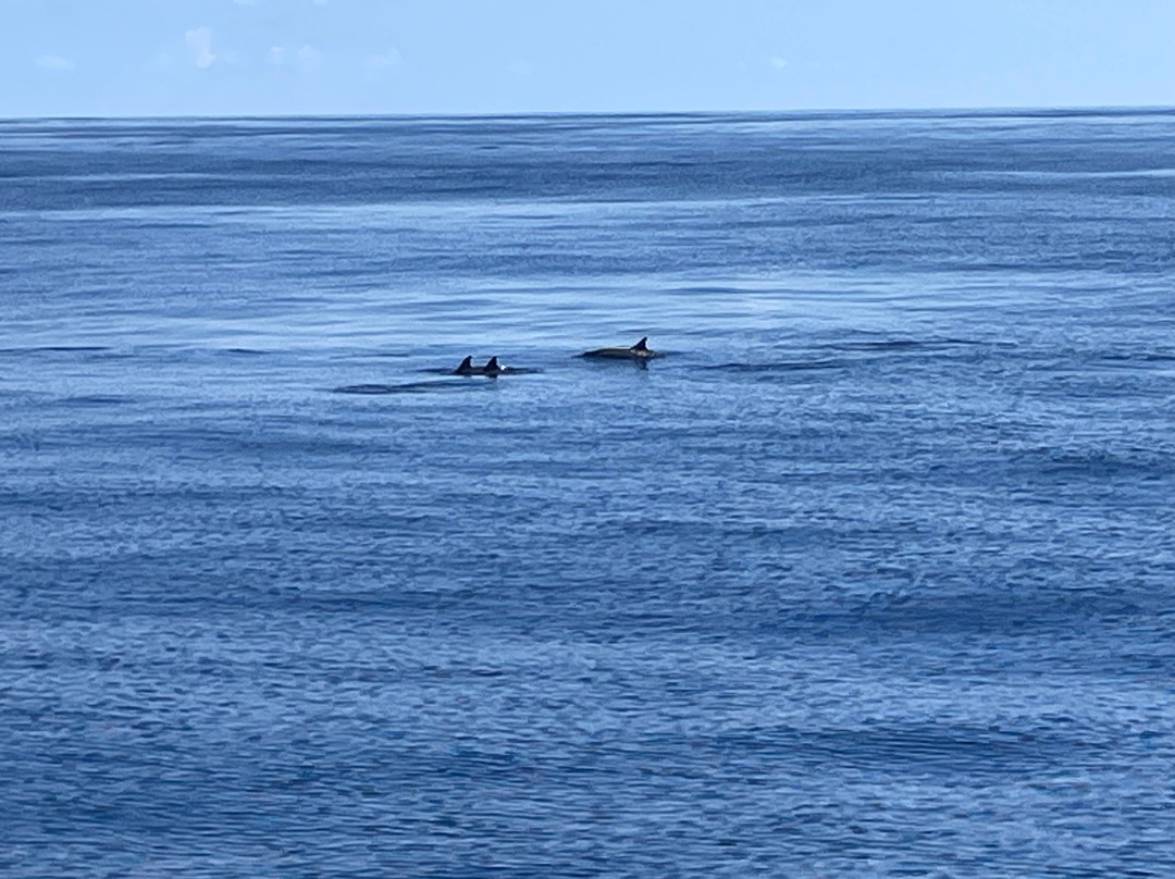 Croisieres & Decouvertes - Le Grand Bleu-圣吉尔莱班必去景点