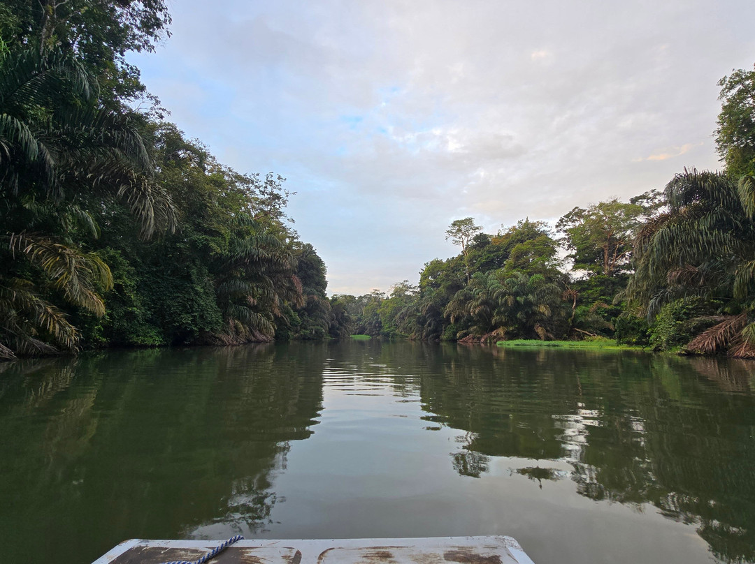 Macko's Parismina River & Turtle Tours-Siquirres必去景点