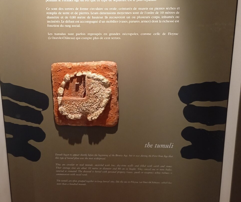 Musee Fenaille-罗德兹必去景点