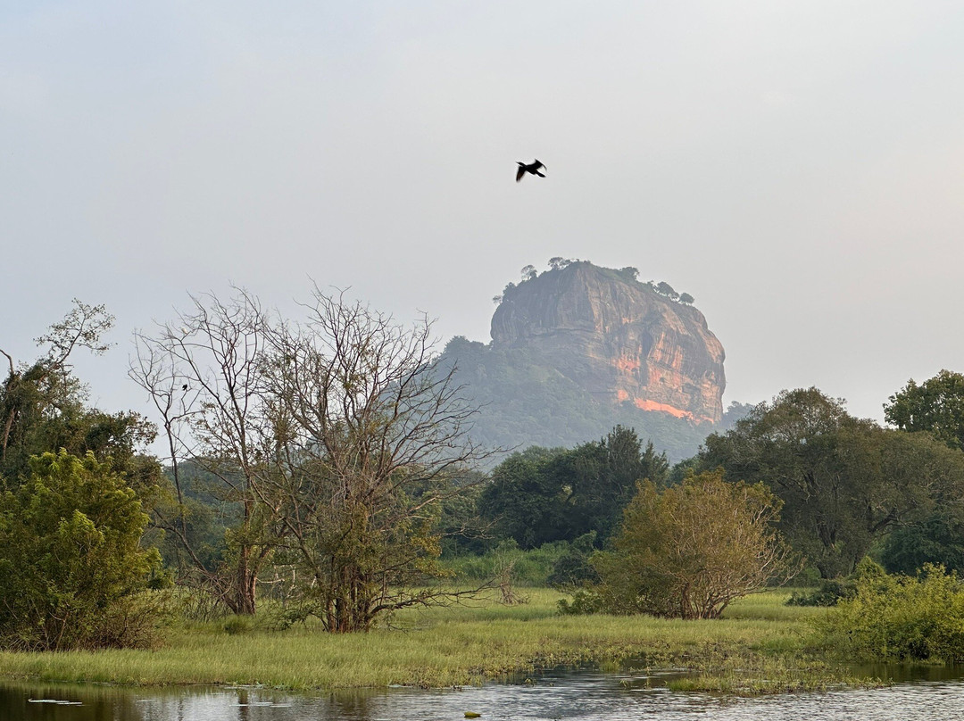 Ceylon Escapes-科伦坡必去景点