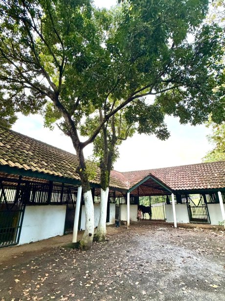 Hacienda Siesta Alegre-旅行者