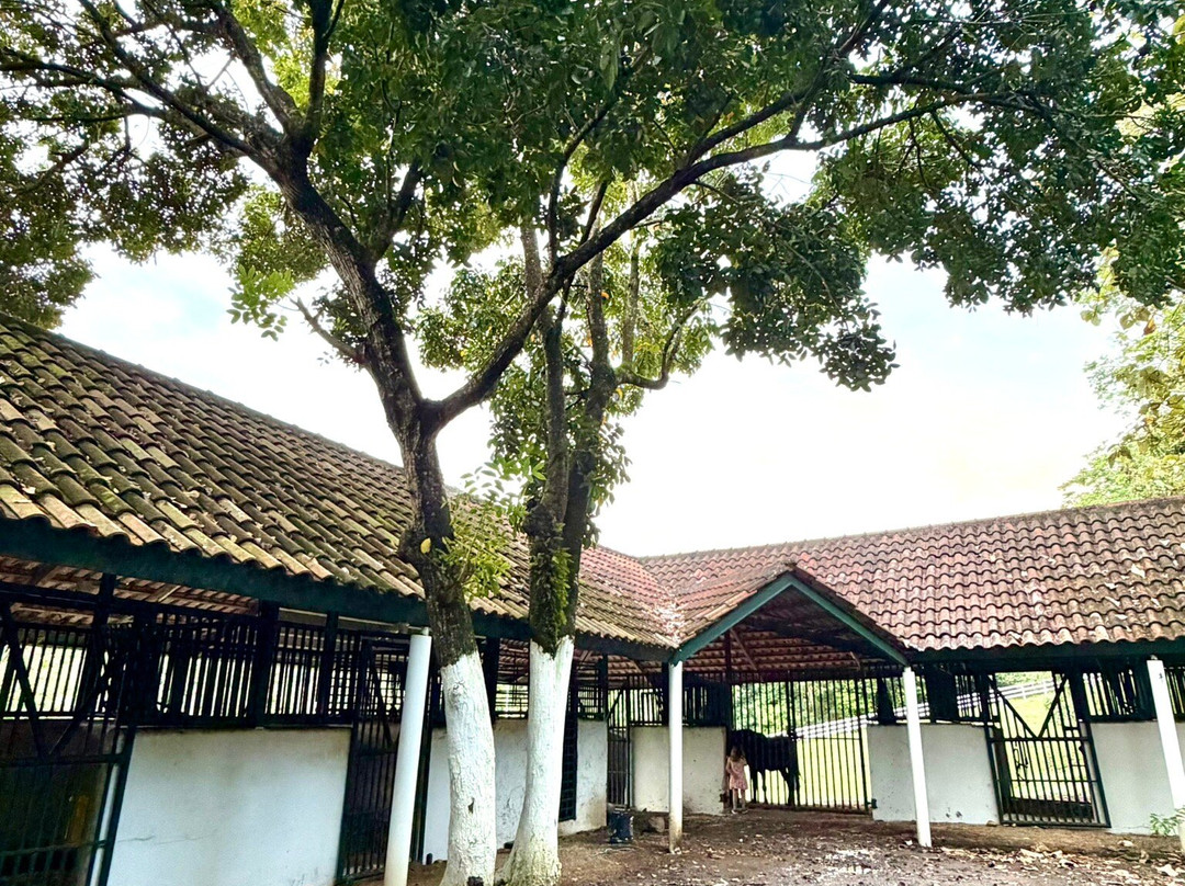 Hacienda Siesta Alegre主图