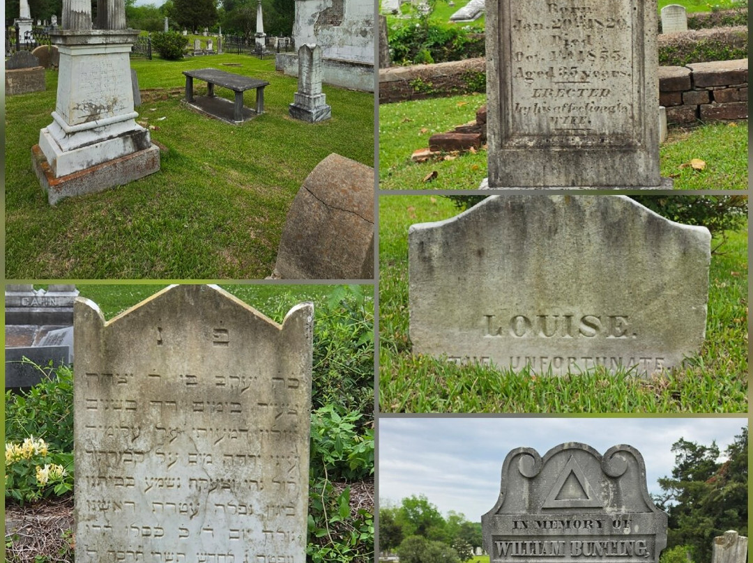 Historic Natchez Cemetery-纳奇兹必去景点