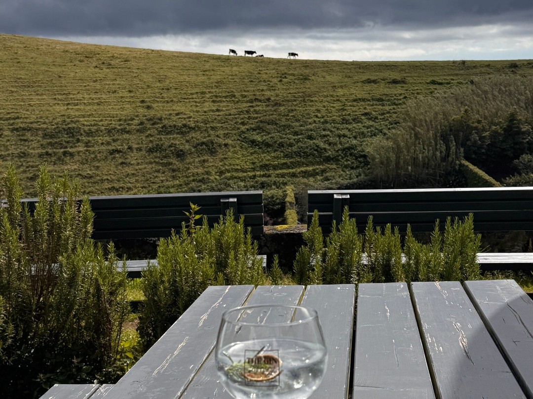 The Gin Library-蓬塔德尔加达必去景点