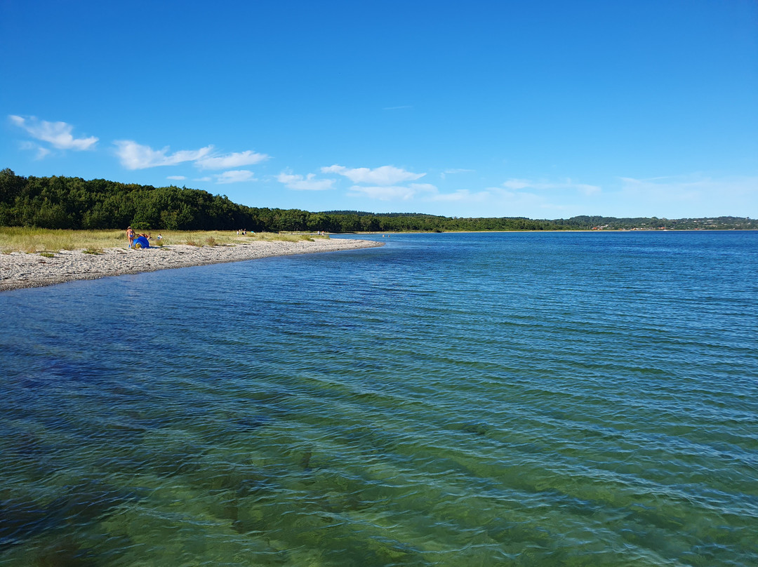 Nationalpark Mols Bjerge-Roende必去景点