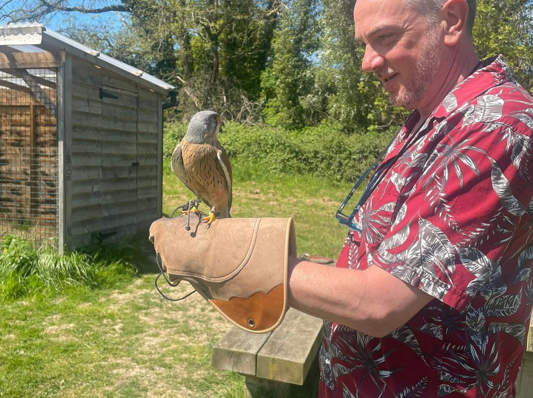 Surrey Hills Falconry-Ockley必去景点