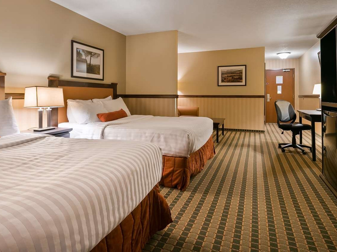 Three Hills酒店住宿-Best Western Diamond Inn