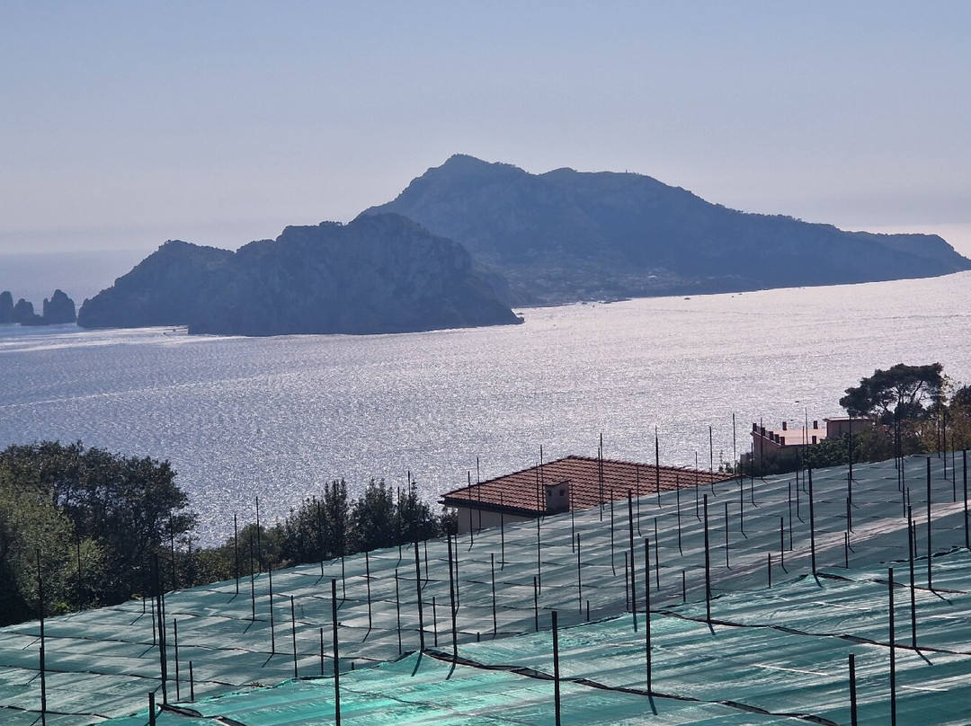 Sorrental-Sant'Agata sui Due Golfi必去景点