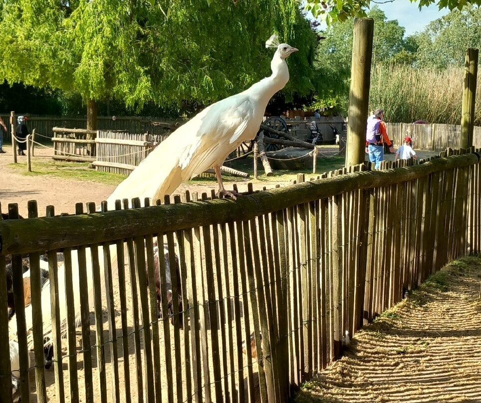 Les Jardins Animaliers Biotropica-Val de Reuil必去景点