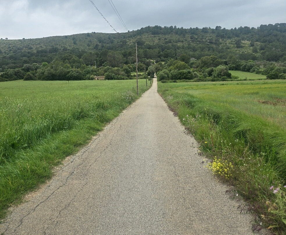 Mallorca Bike Hire-波连萨必去景点