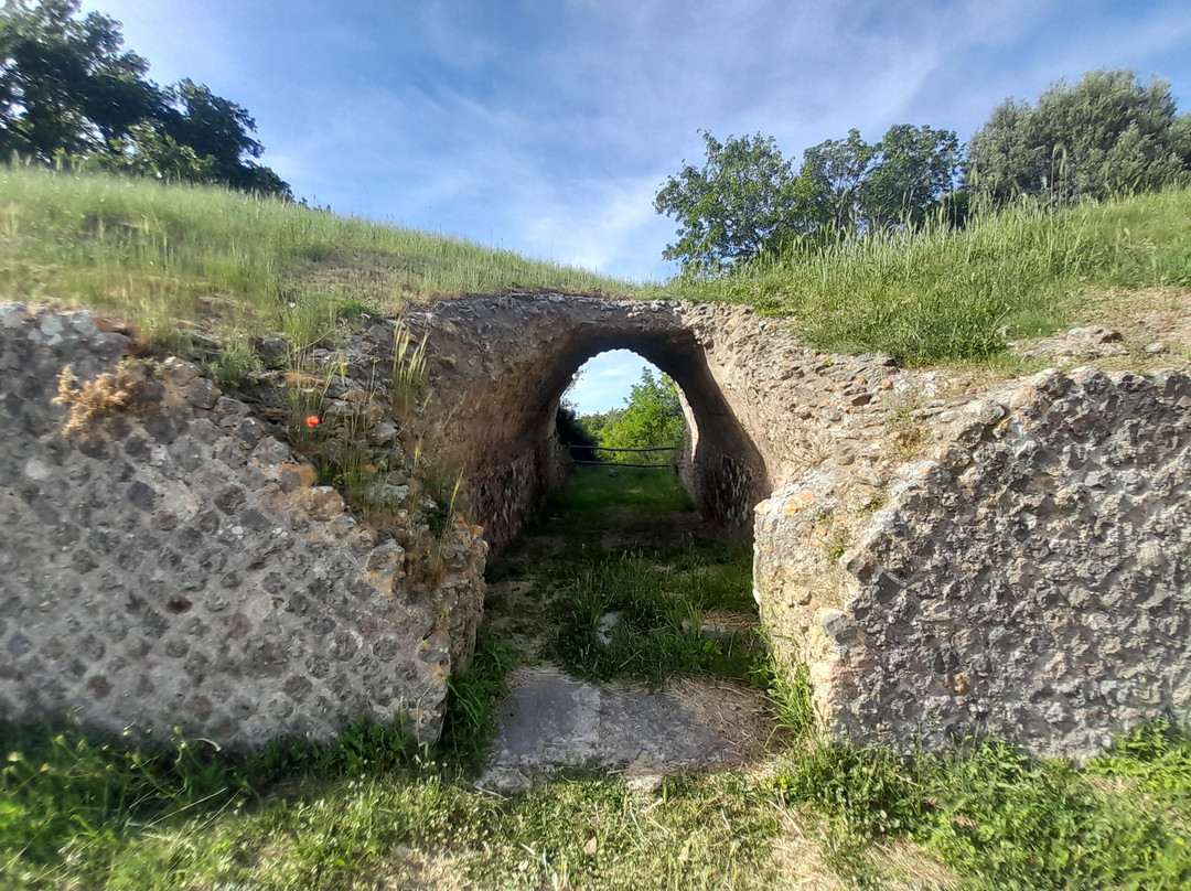 Area Archeologica di Roselle-Bagno Roselle必去景点