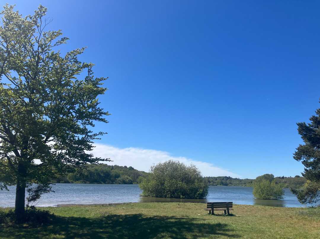 Bewl Water-Lamberhurst必去景点