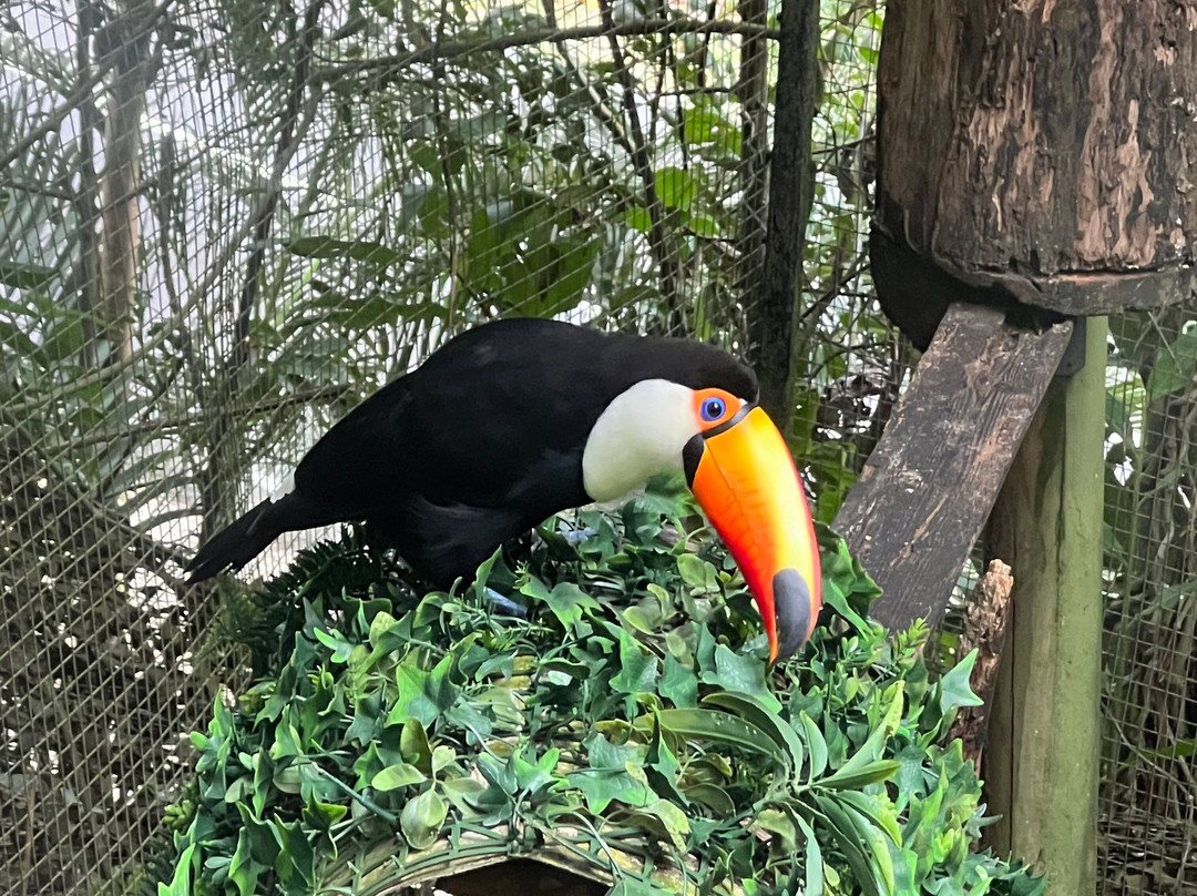 Zoo De Guadeloupe Au Parc Des Mamelles-Bouillante必去景点