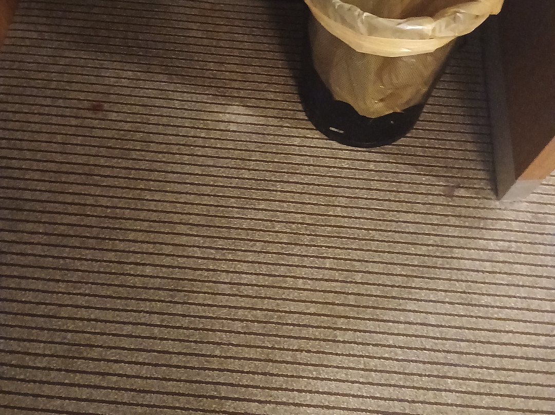 坦帕韦斯利堂凯悦嘉轩酒店主图