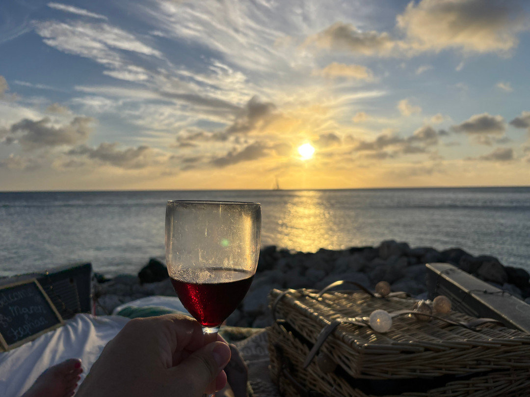 Pick You Up Aruba-Malmok Beach必去景点