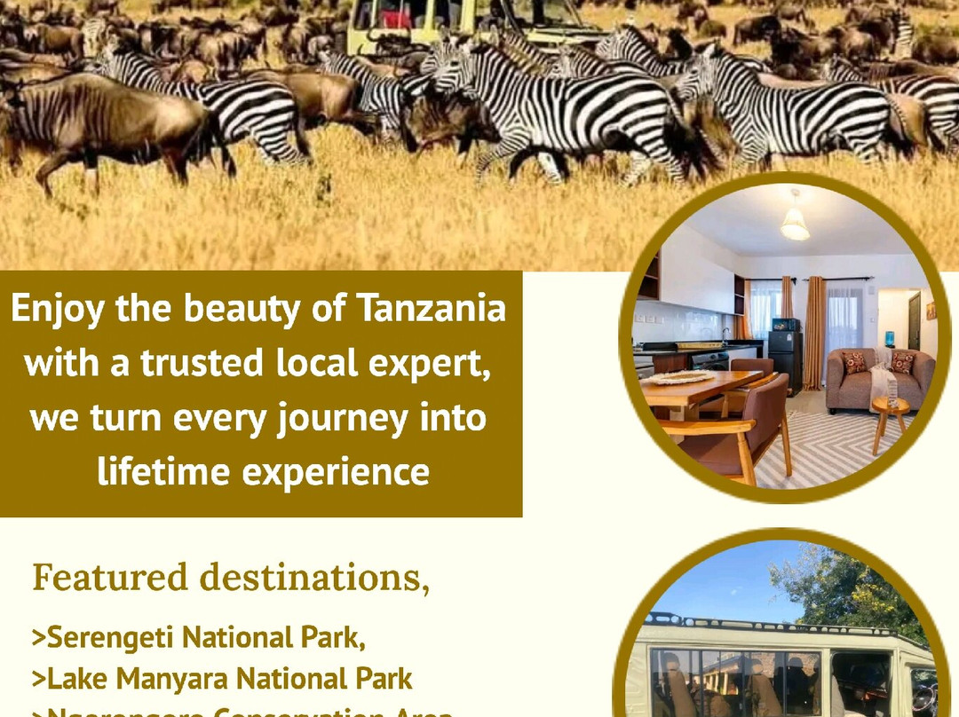 Tarangire National Park-塔兰吉雷国家公园必去景点