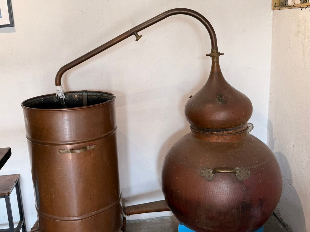 Tarquin's Cornish Gin Distillery Tour-Wadebridge必去景点