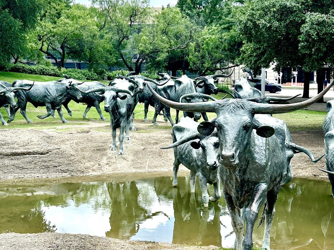 Dallas Cattle Drive Sculptures-达拉斯必去景点